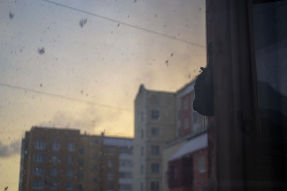 Photograph by Алиса Глыбоцкая