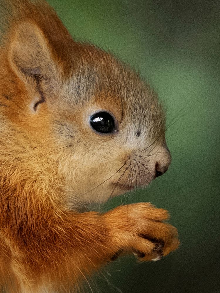 Photograph by Елена Валерьевна