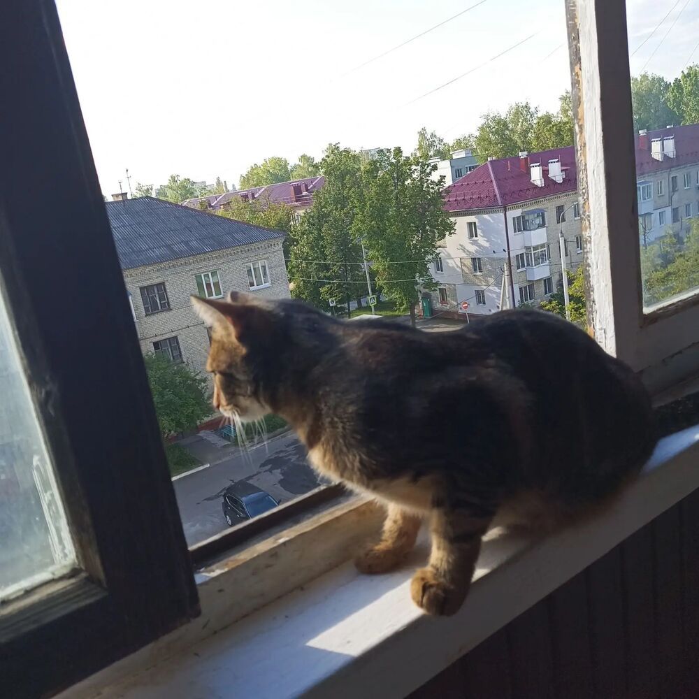 Photograph by Ольга Калиничева