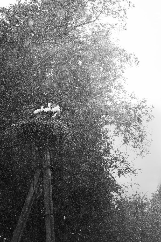 Photograph by Наталья Лабодина