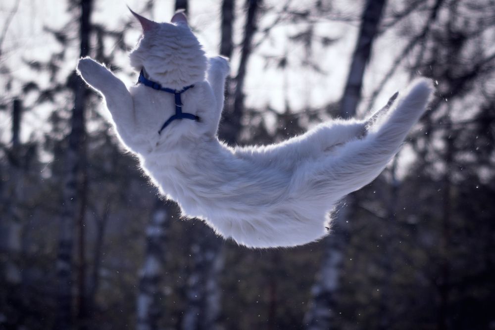 Photograph by Света Трифоненкова