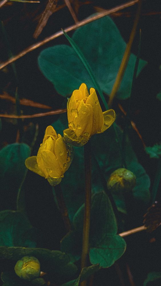 Photograph by Людмила Горячева