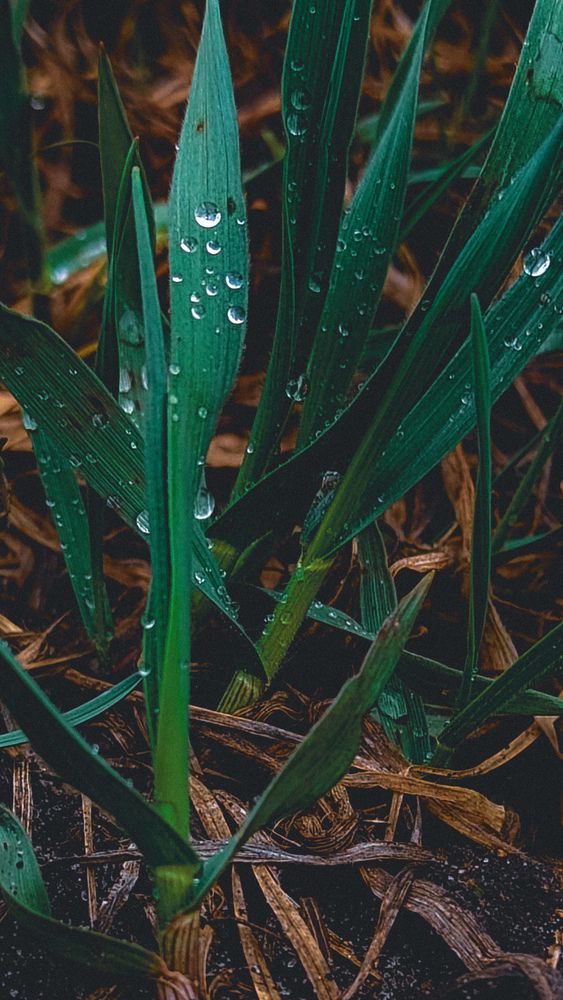 Photograph by Людмила Горячева