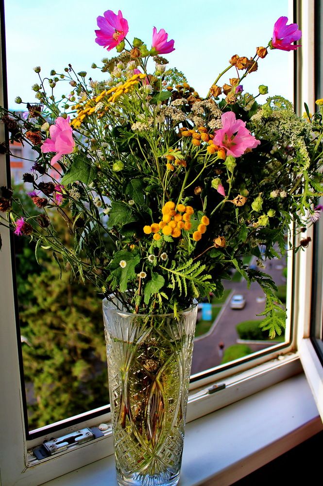 Photograph by Виталий Симоненков