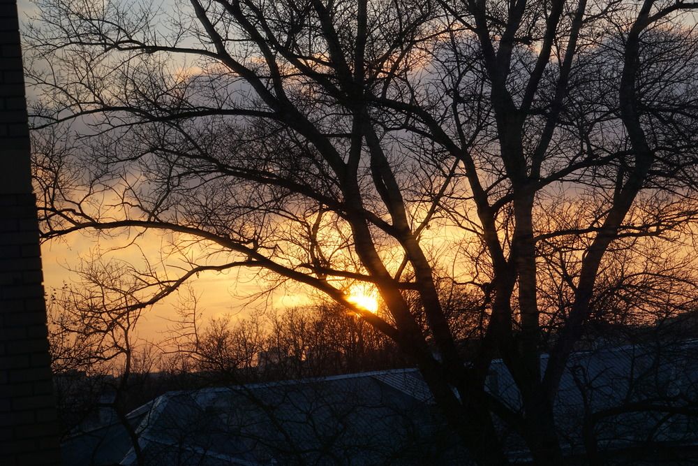 Photograph by Михаил Трусов