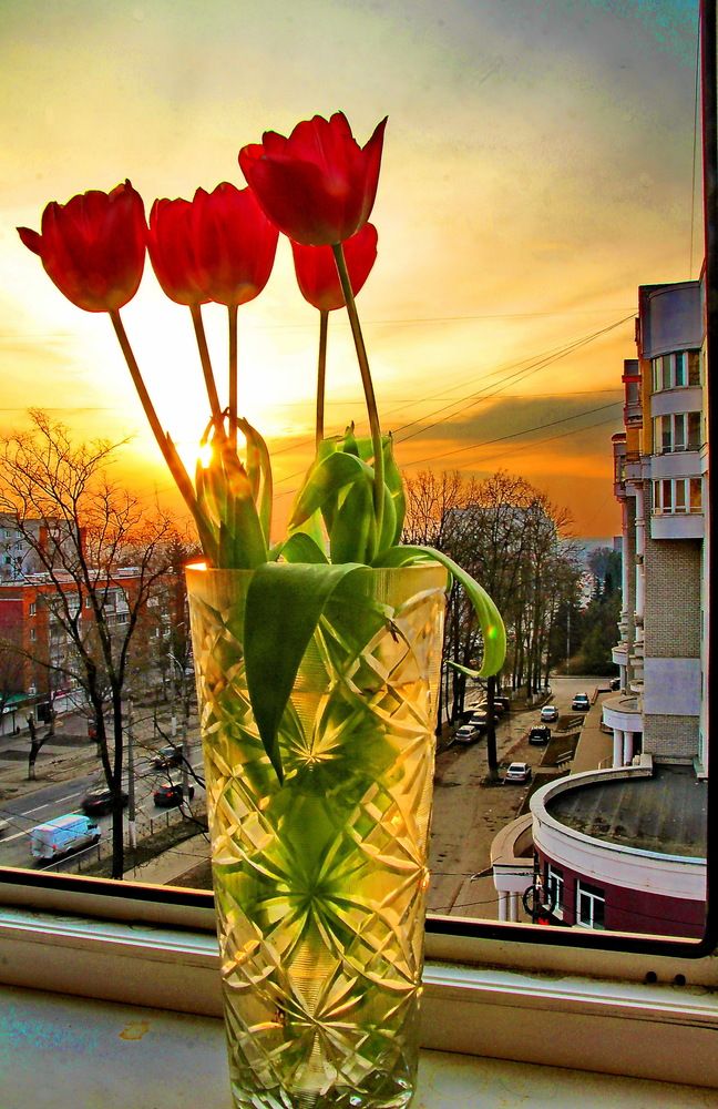 Photograph by Виталий Симоненков