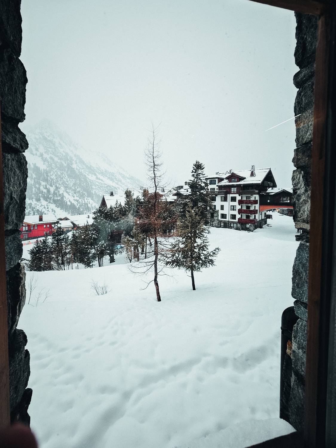 Photo #13525067