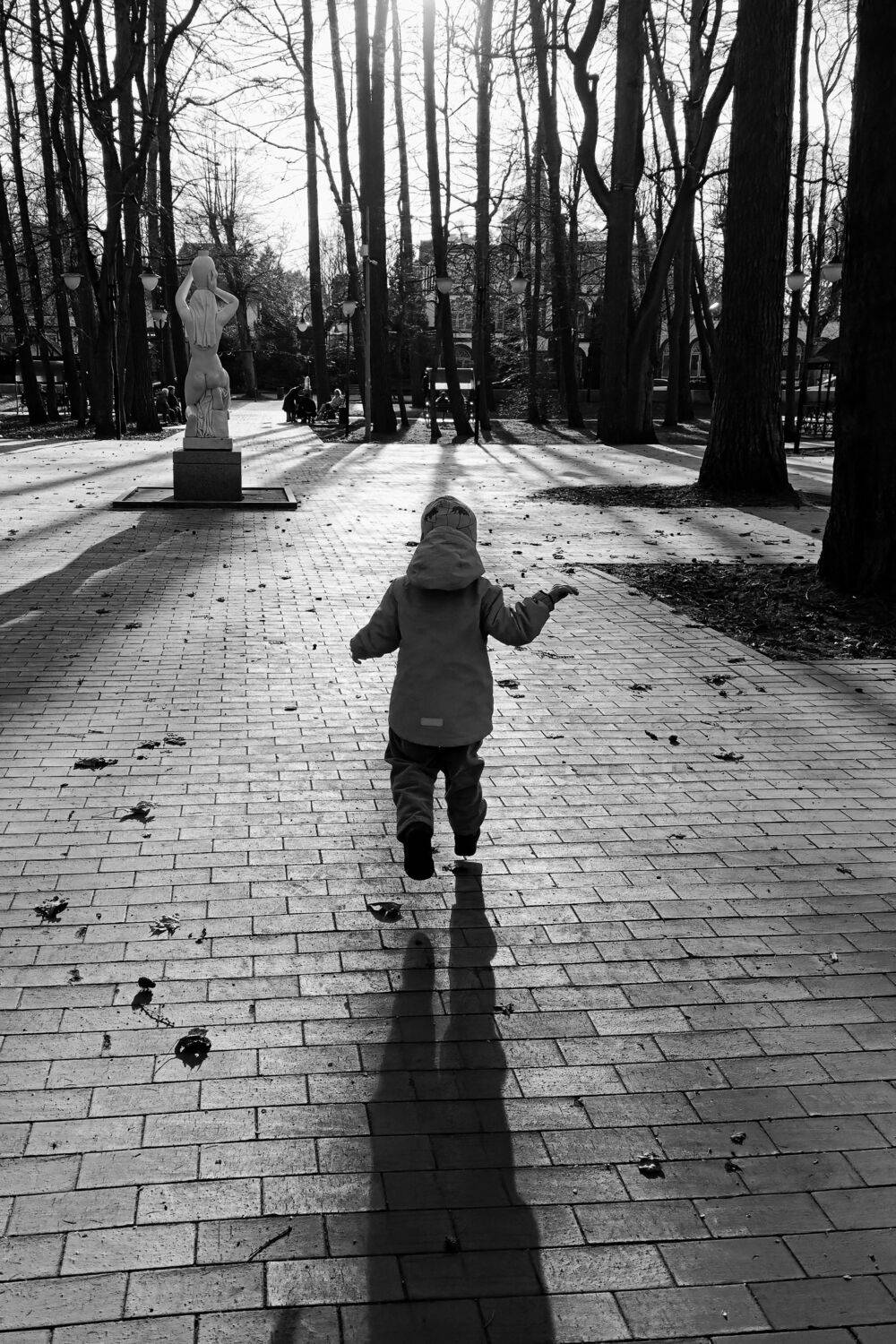 Photo #13525112