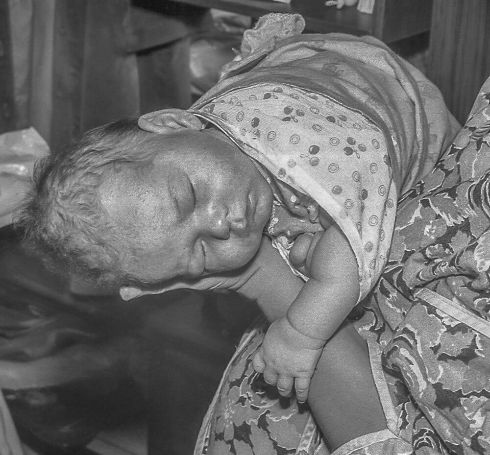Photograph by Vladimir  Komarov