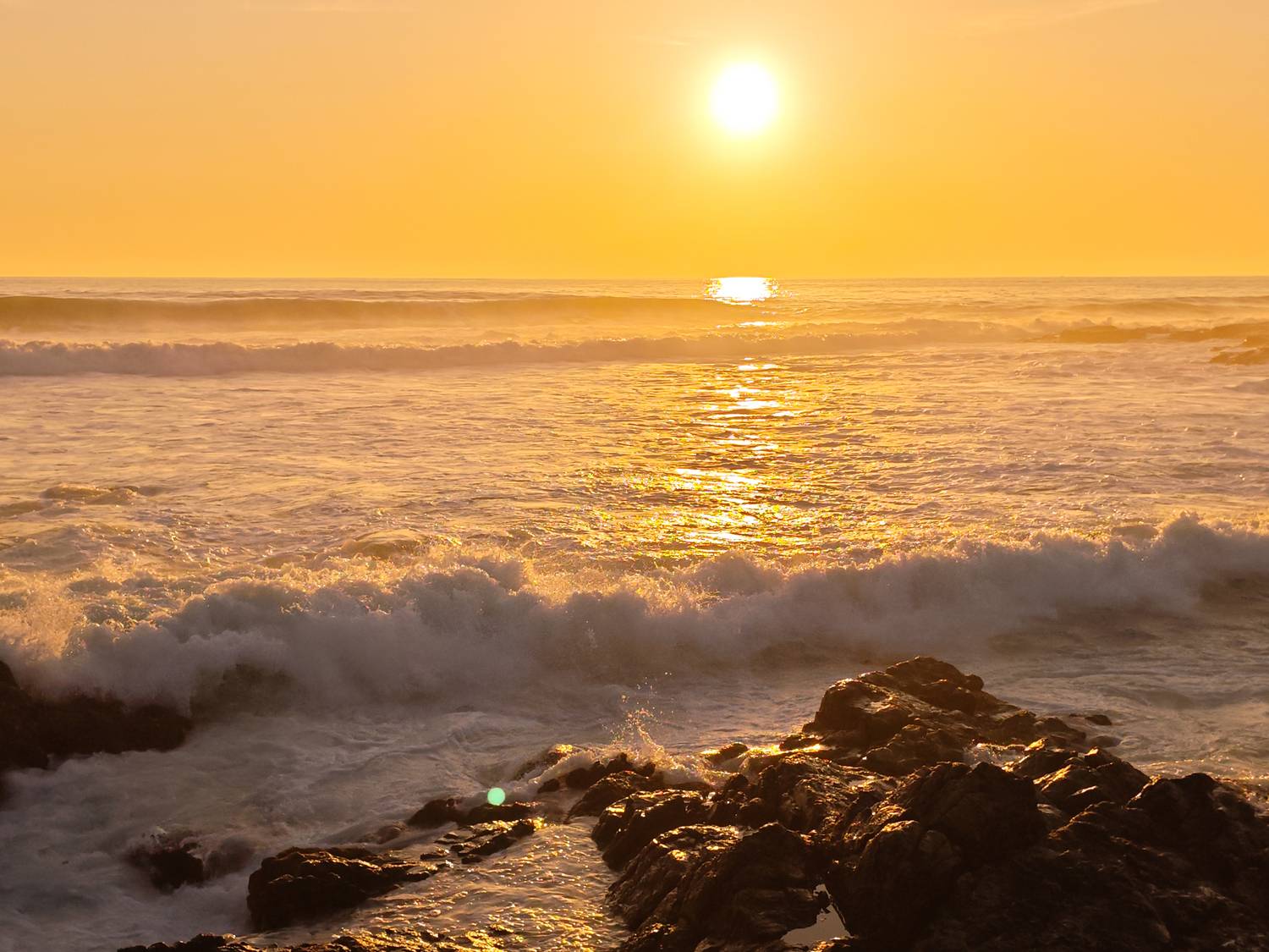 Photo #13525155