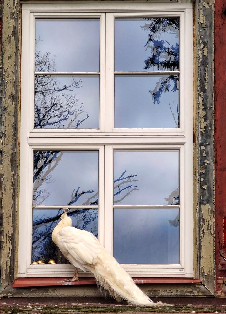 Photograph by Оксана Радзиевская