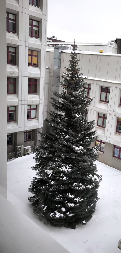 Главрачь больницы