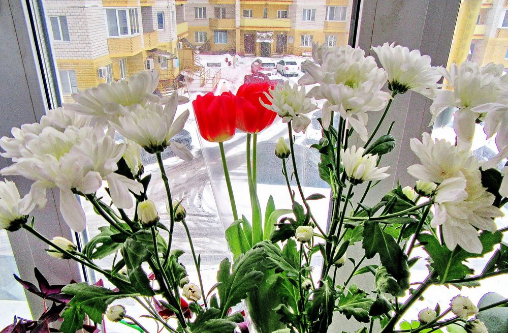 Photograph by Виталий Симоненков