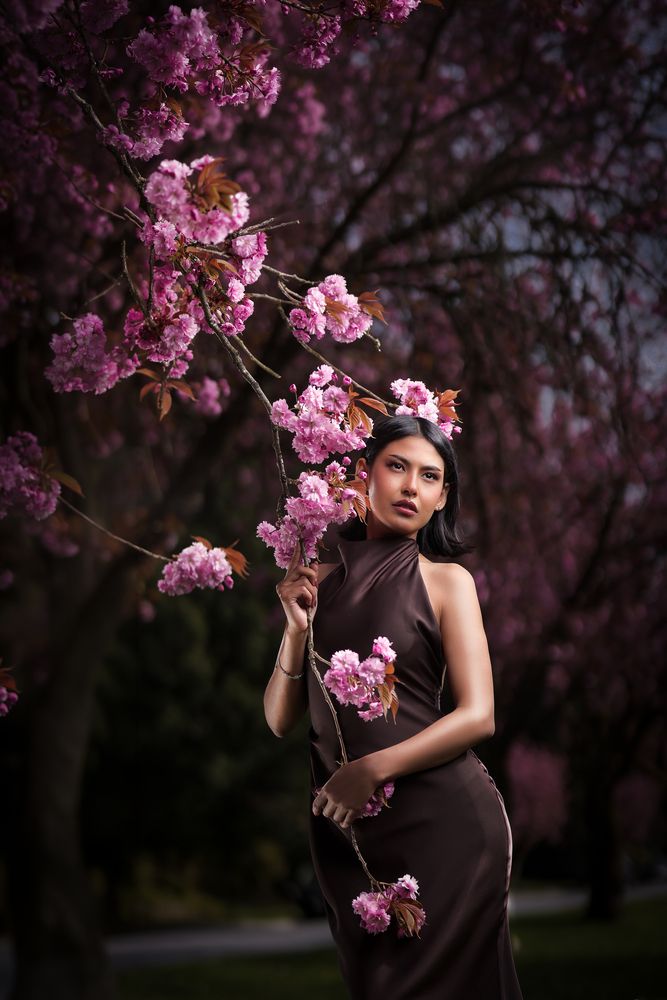 Ephemeral Bloom