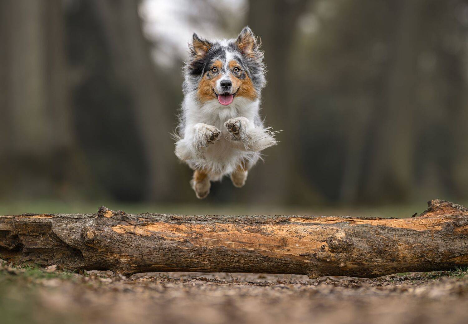 Photo #13525557