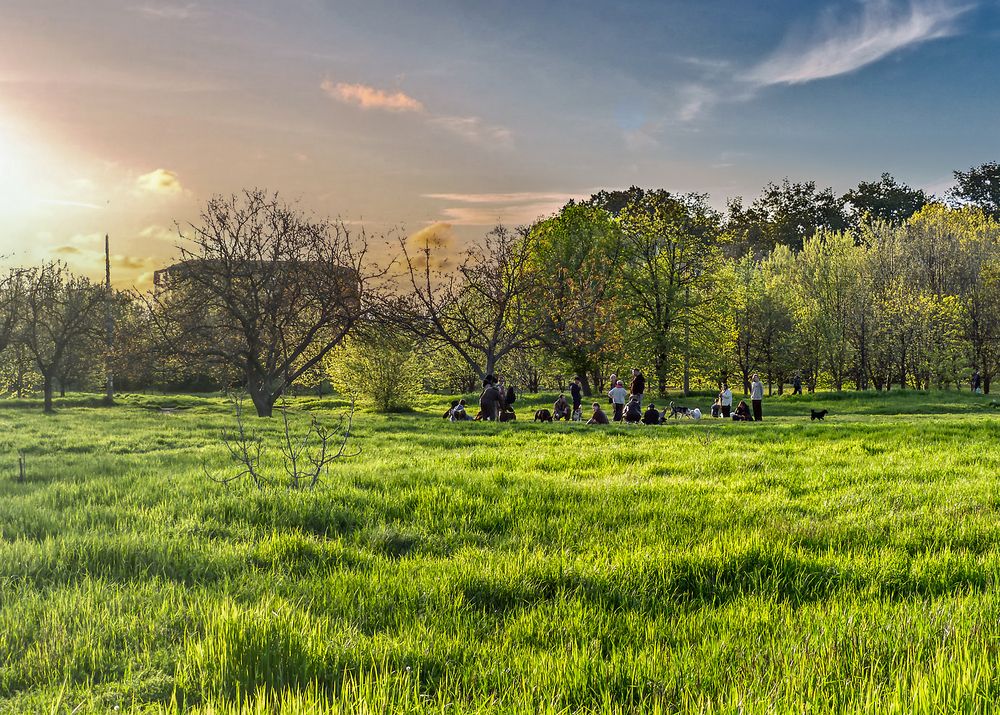 Photograph by Юрий Левко