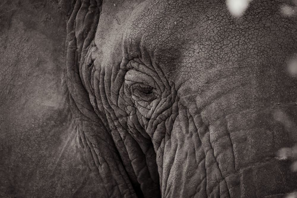 Photograph by Fabio Müller