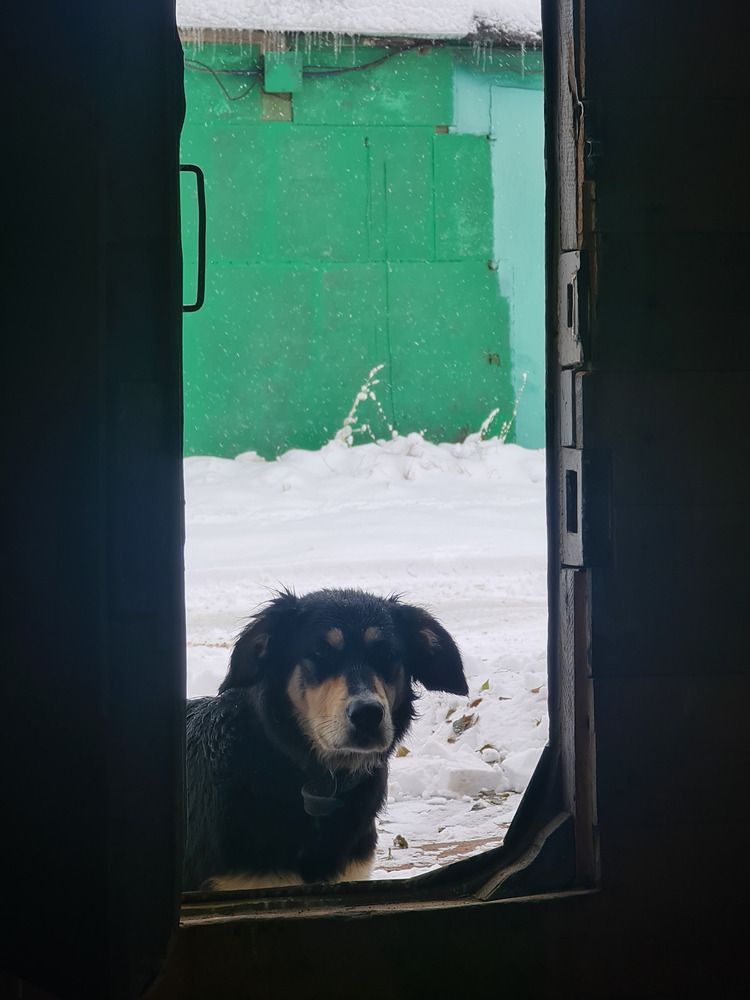 Photograph by Валентин Науменков