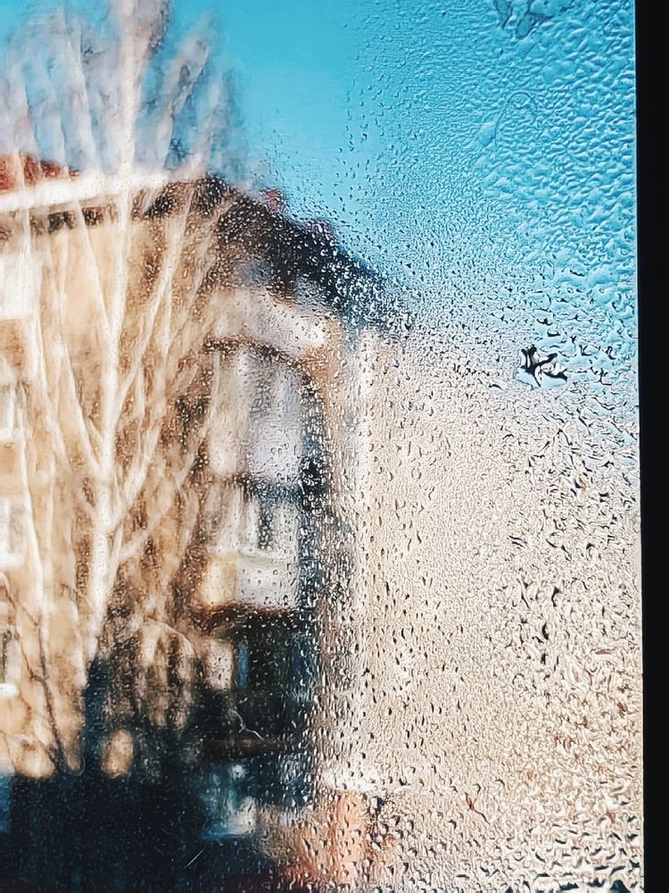 Photograph by Арина Черникова