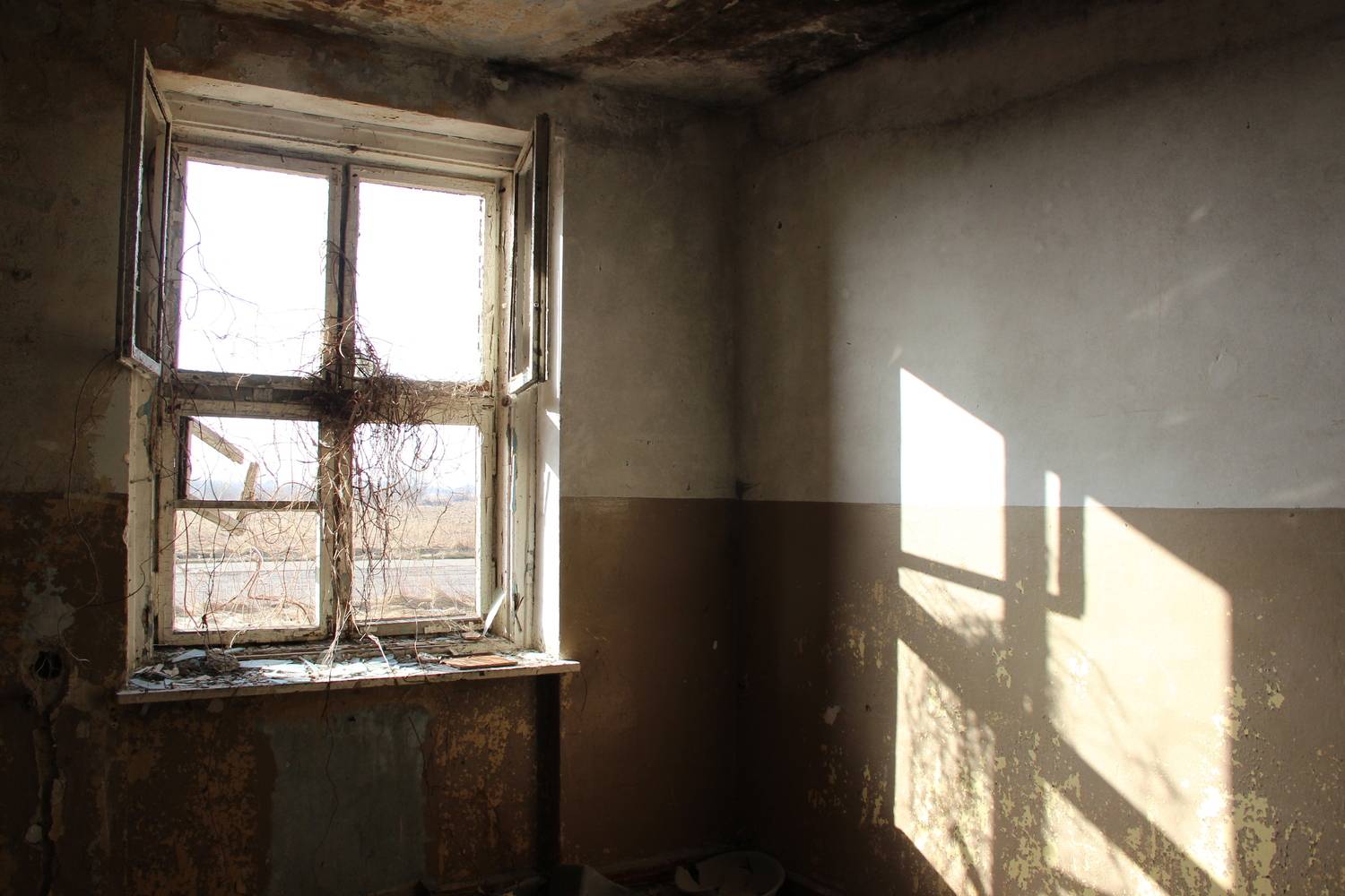 Photo #13526032