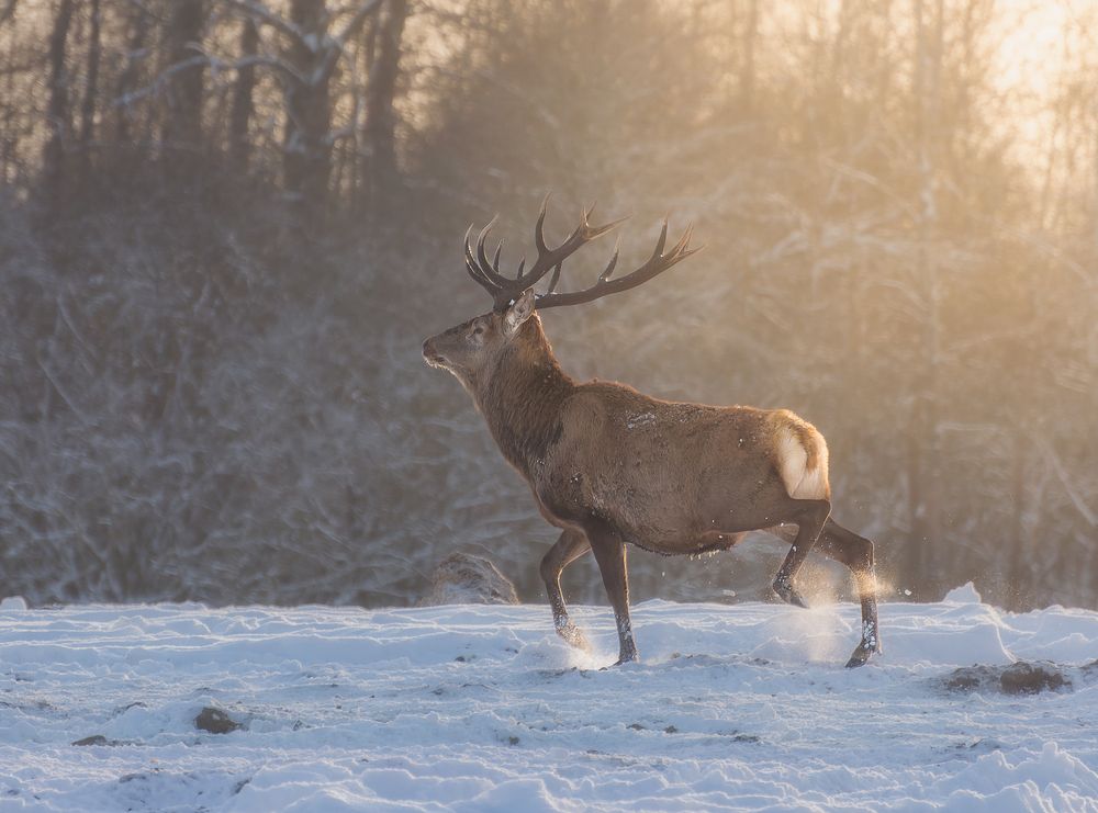 Photograph by Andrew Kuzmin