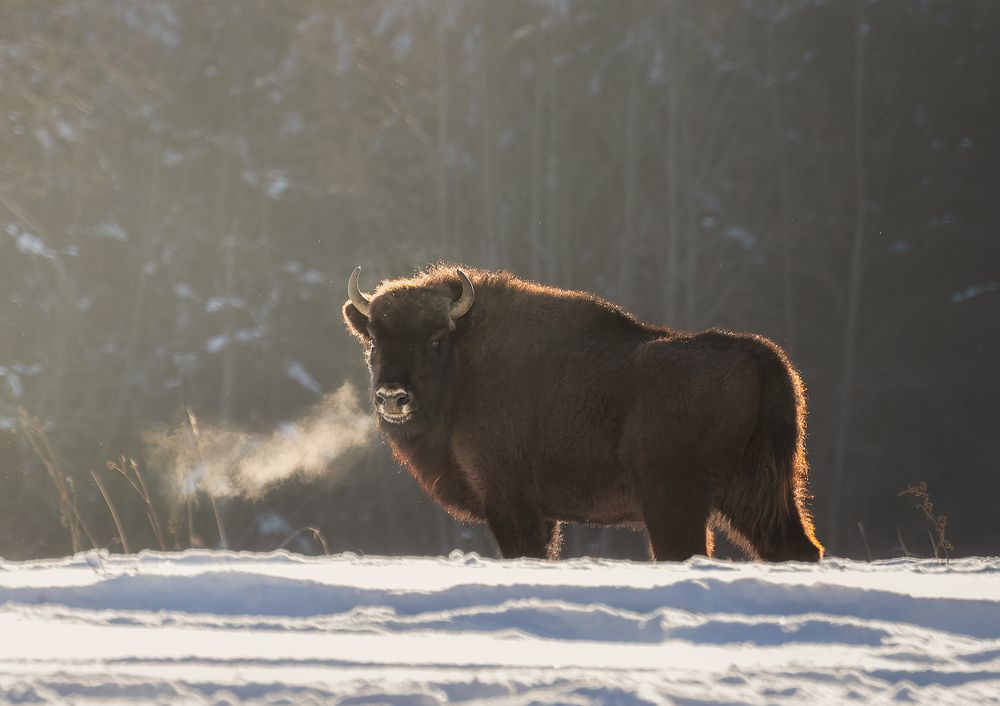 Photograph by Andrew Kuzmin