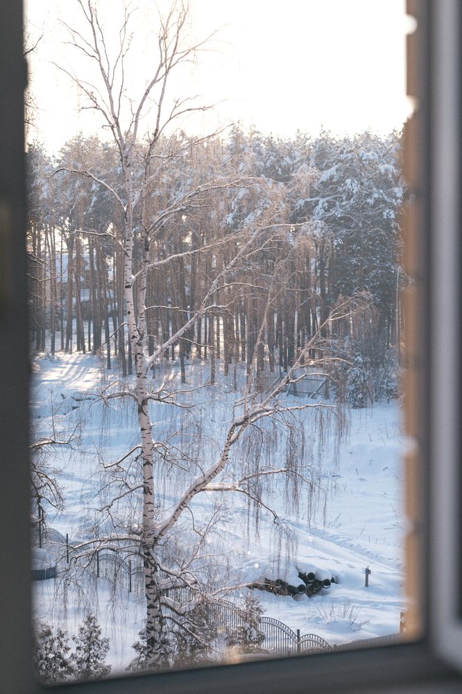 Photograph by Ольга Степанова