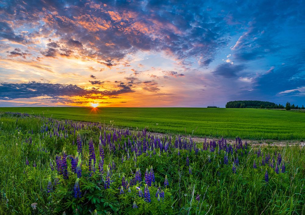 Photograph by Евгений Кармаев