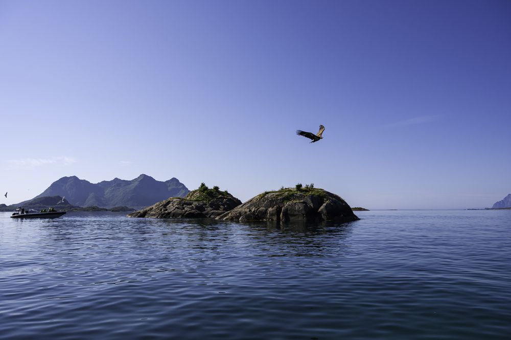 Eagle Island in Lofoten