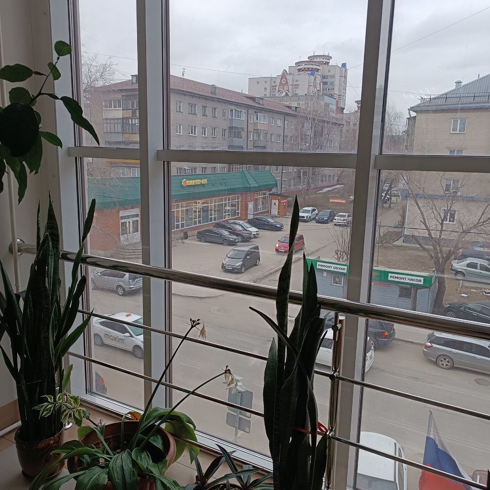 Photograph by Елена Колышева