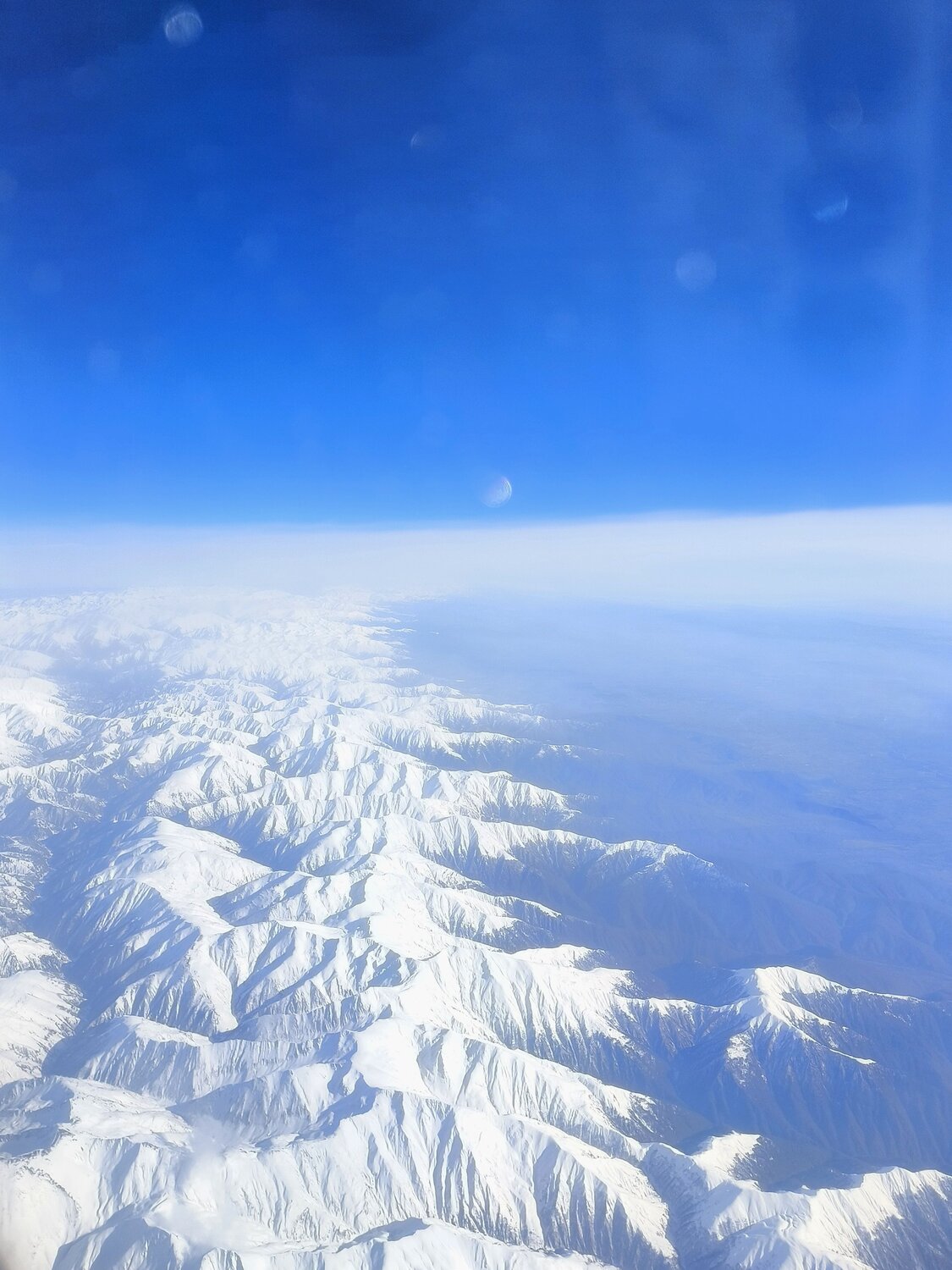 Photo #13526638
