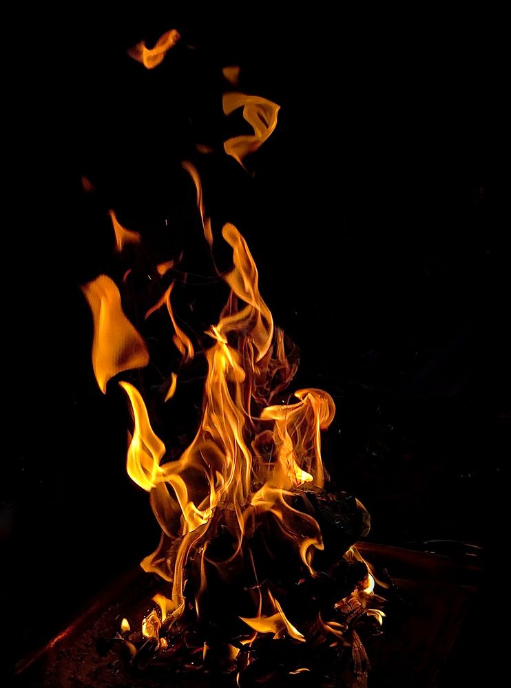 Photo #13526663