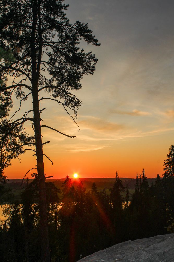 Photograph by Евгения Флиорчук