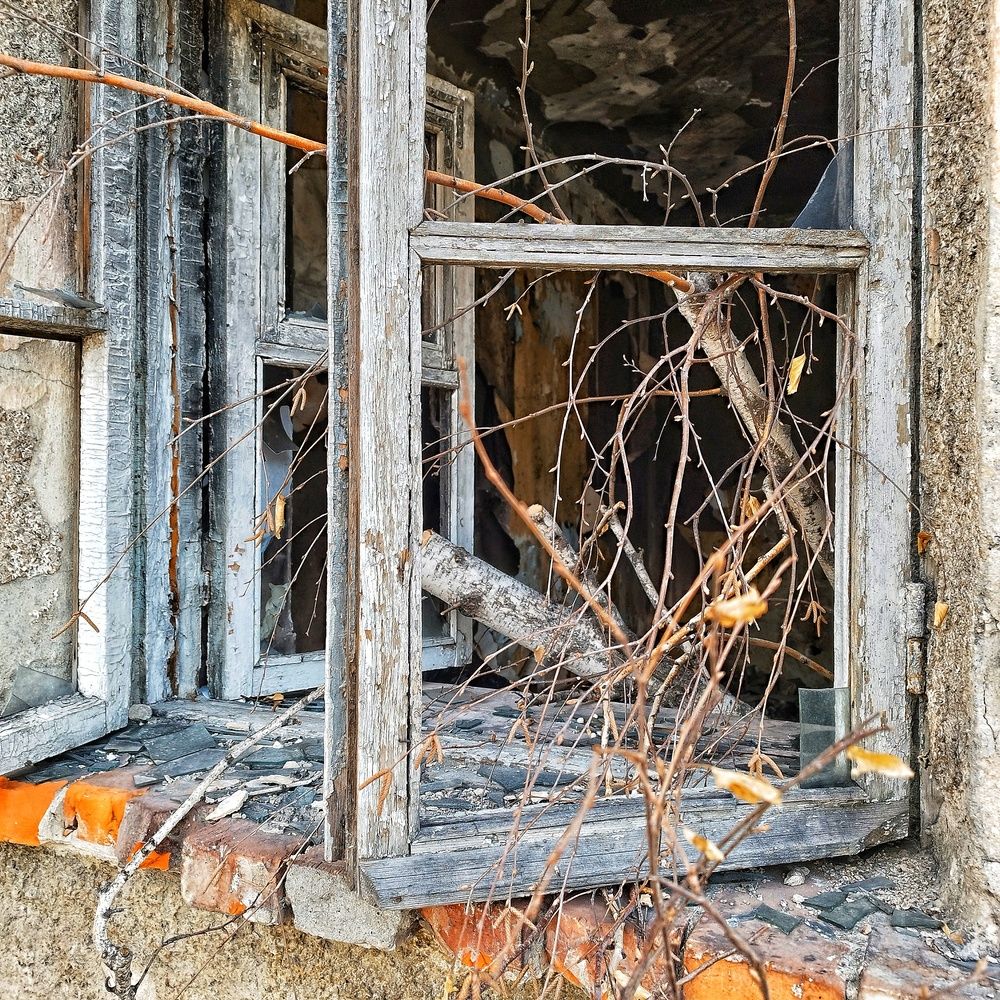 Photograph by Ирина Попелкова