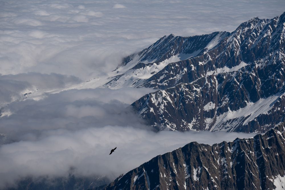 Photograph by Guy Wilson
