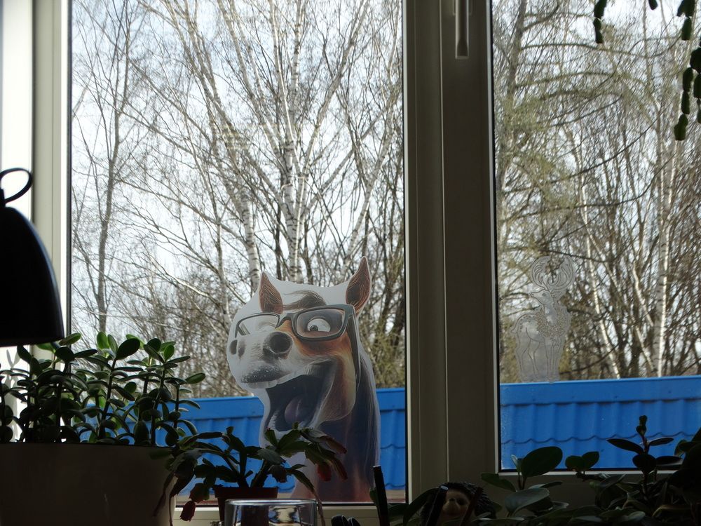 Photograph by Сергей Беляев