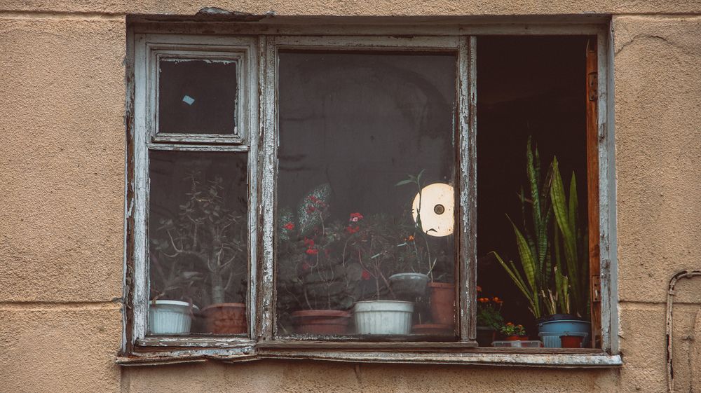 Photograph by Христина Сергейчик