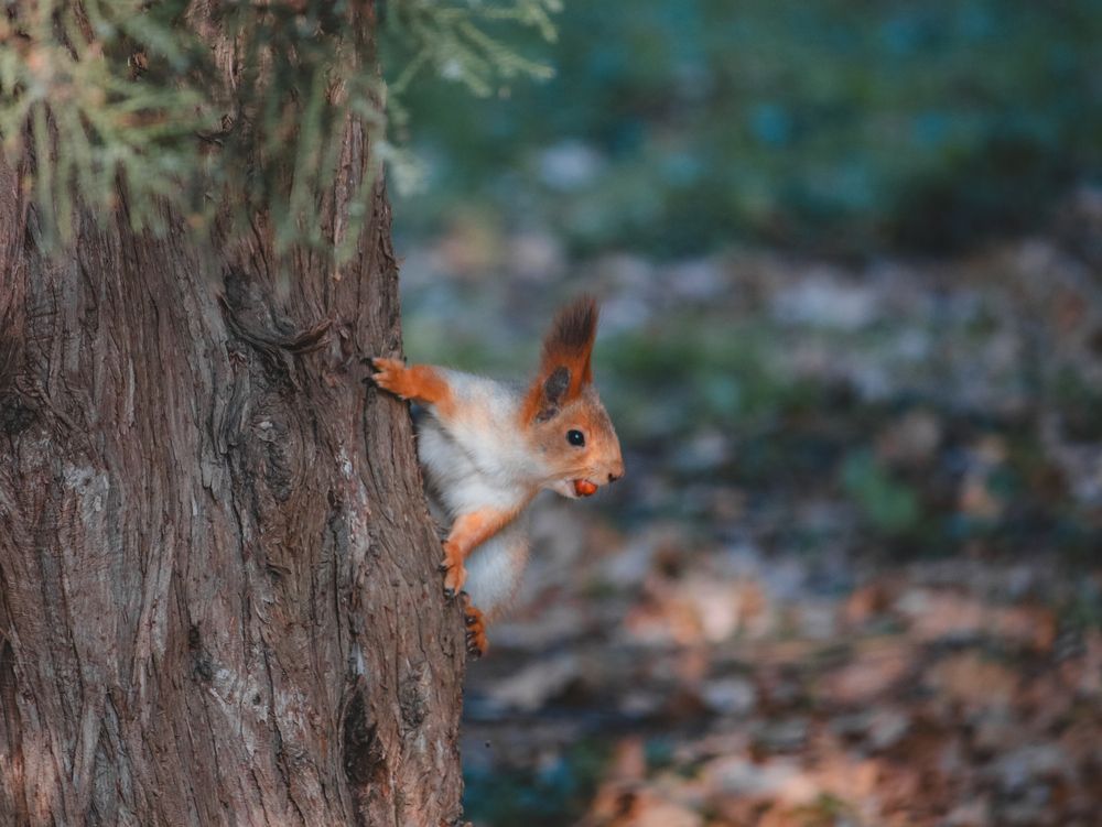 Photograph by Христина Сергейчик