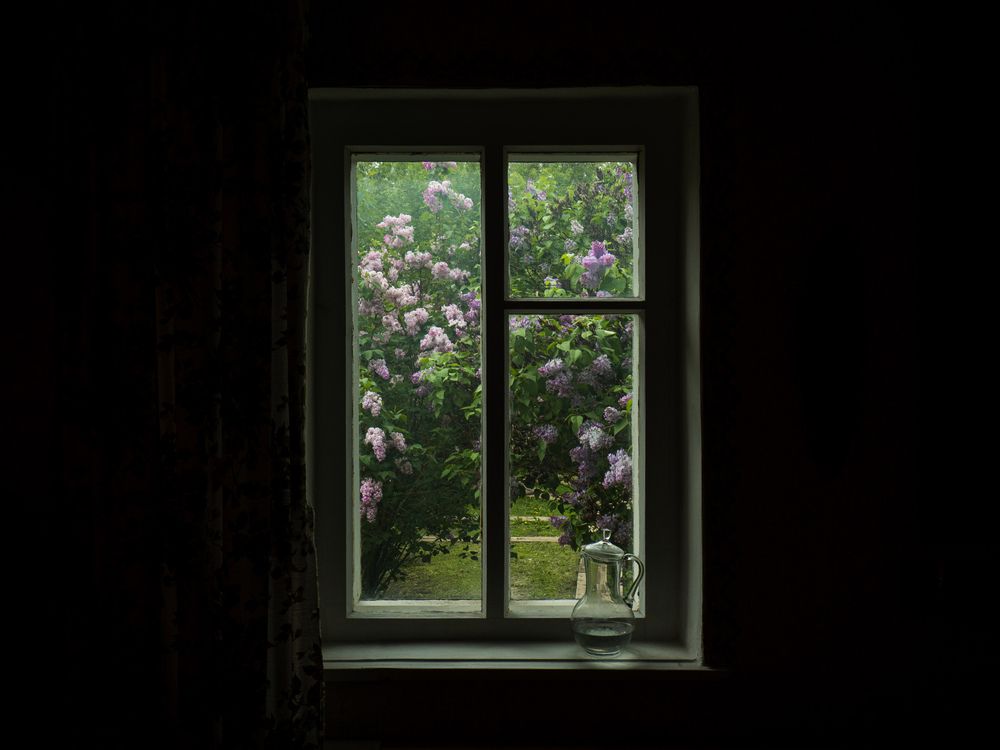 Photo #13527128