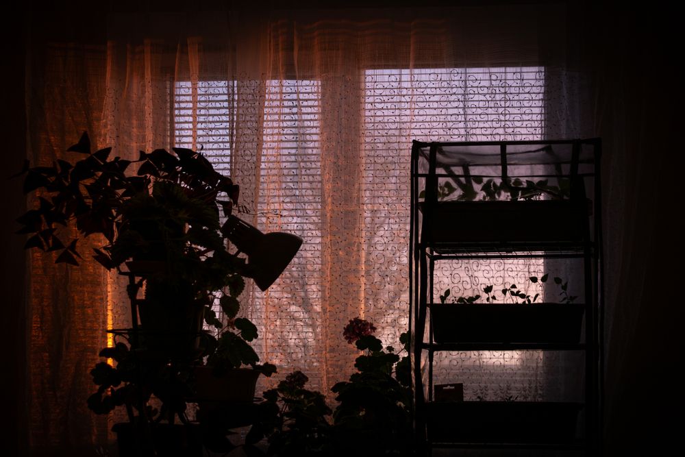 Photograph by Сергей Кравцов