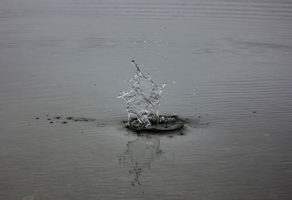 Photograph by Эльвира Лазарева
