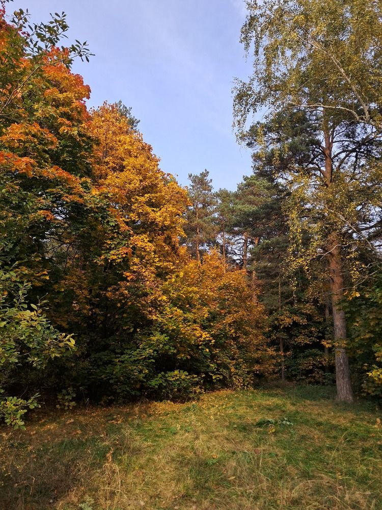 Photo #13527256