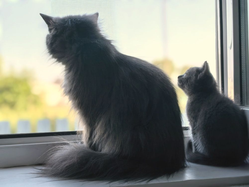 Photograph by Анна Якубинас