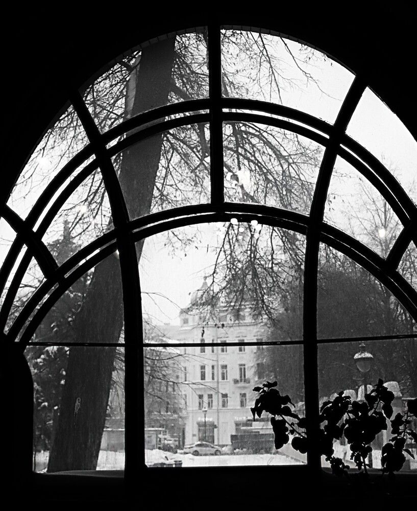 Фотография автора ОЛЬГА ДЕРБЕНЕВА