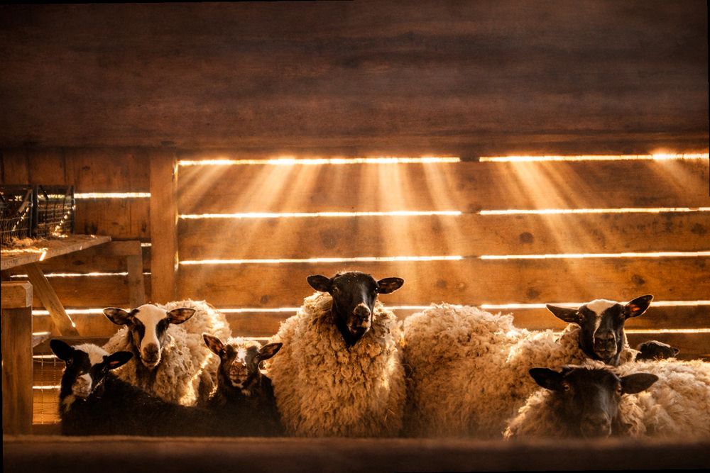 Photograph by Max Samadhi