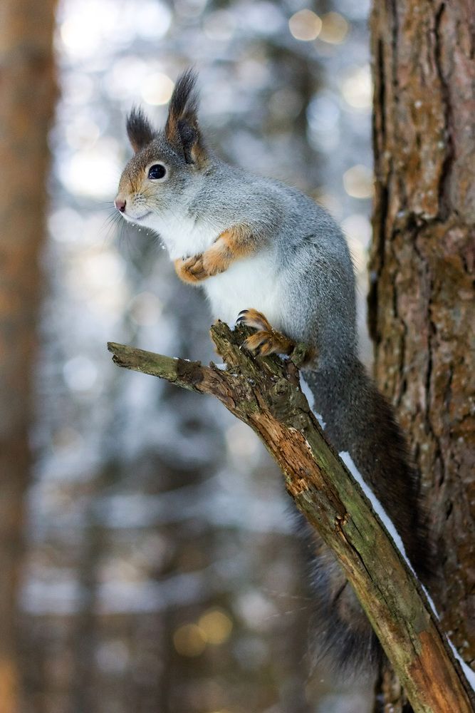 Photograph by Анна Акименко