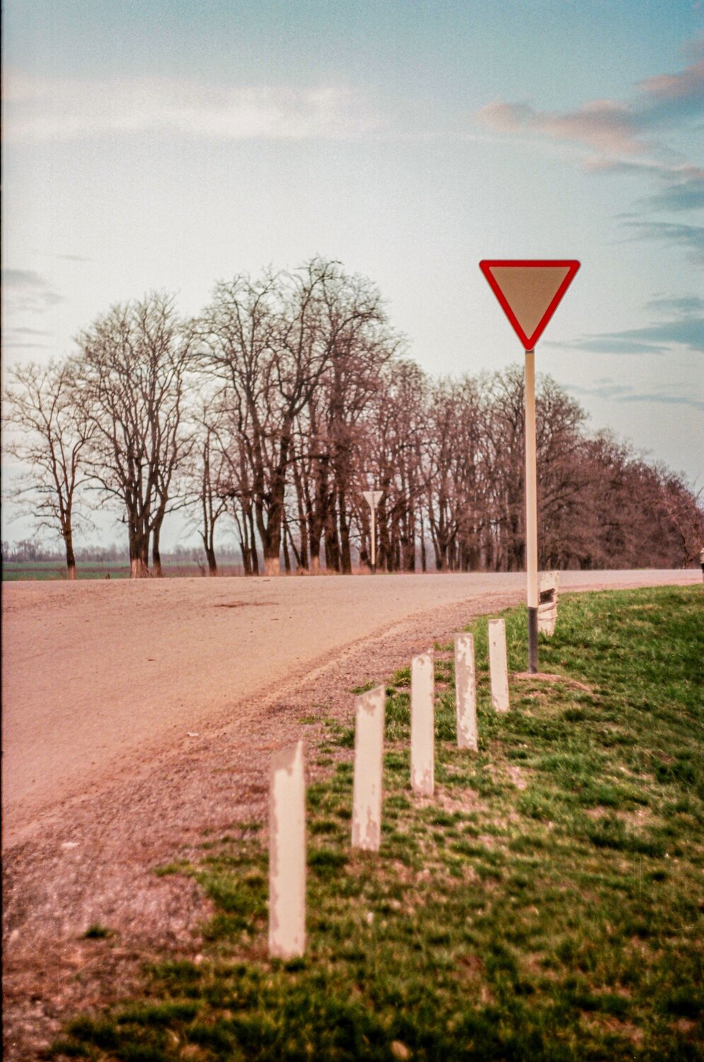 Photo #13527929