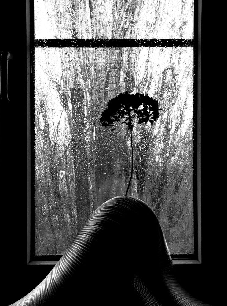Photograph by Светлана Ищенко