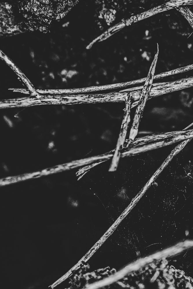 Geometría de la ausencia