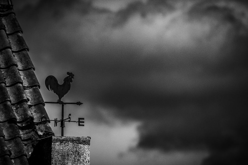Photograph by Richard Blackwood